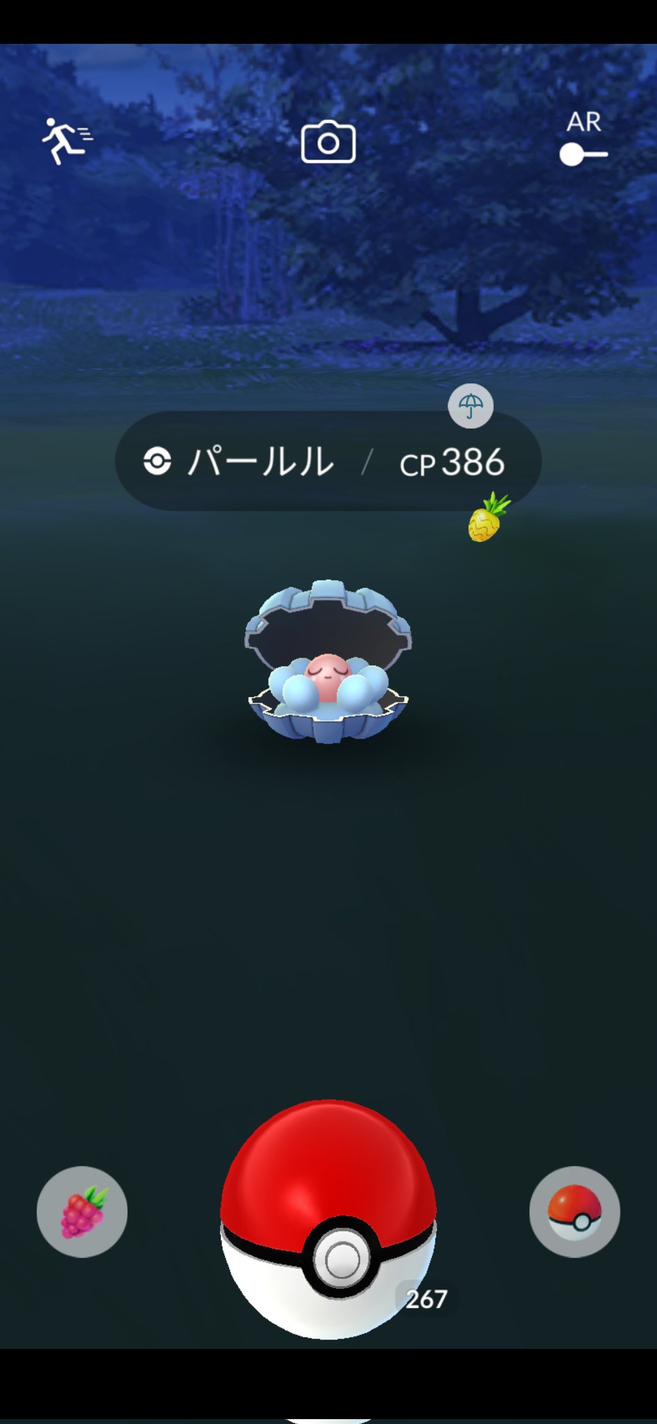 Liz 3世 Shaiminceo Twitter