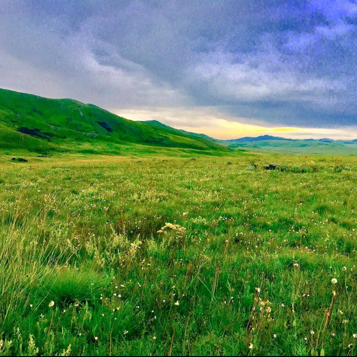 BIASHARACONNEC2's tweet photo. Karibu Kitulo National Park🌺🥀🏵️
#BustaniYaMungu
#VisitKitulo
#VisitTanzania
@tzparks https://t.co/H0UZg5p85q