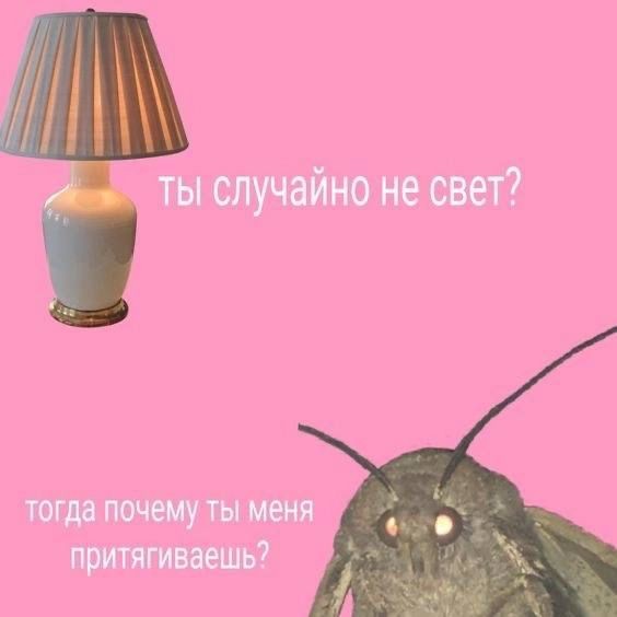 Привет котики, вышла с места, буду теперь частенько с вами