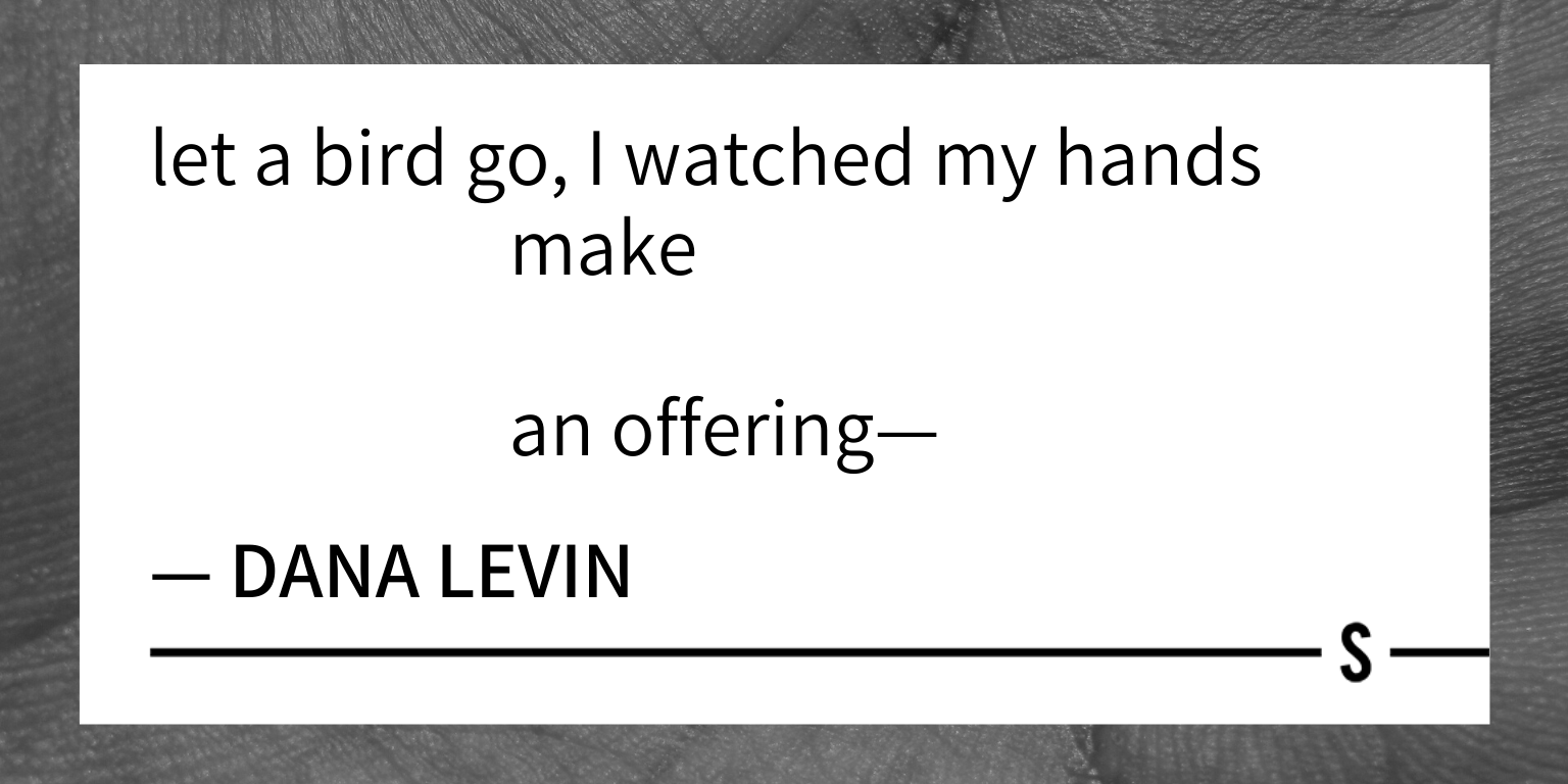 Copper Canyon Press (CopperCanyonPrs) / Twitter