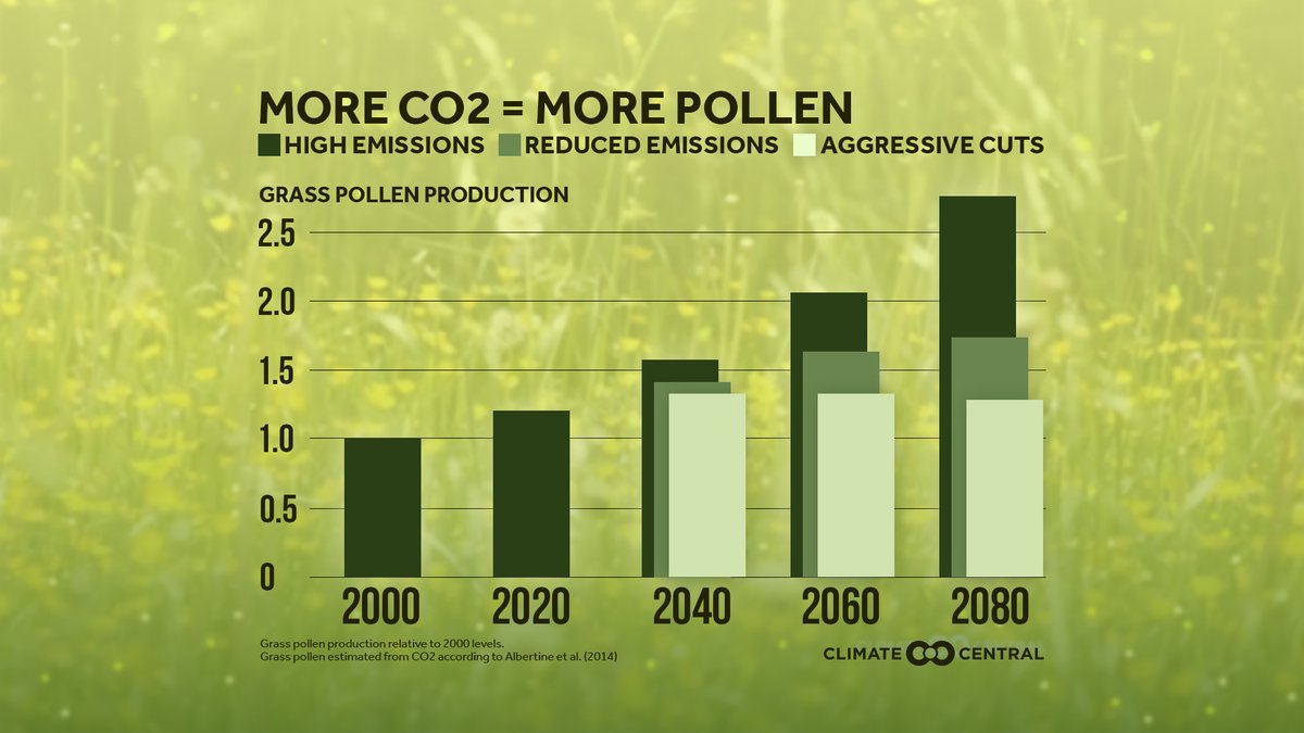 docsforclimate's tweet image. Great new resource for community and patient education! 
 
Generate a graph specific to your region on how warmer temps + CO2 =  increasing pollen concentrations, which make conditions worse for allergy and asthma sufferers.#ClimateIsHealth

climatecentral.org/outreach/alert…