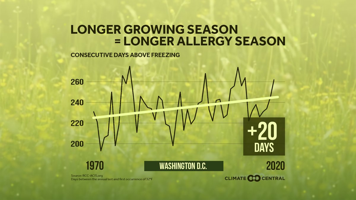 docsforclimate's tweet image. Great new resource for community and patient education! 
 
Generate a graph specific to your region on how warmer temps + CO2 =  increasing pollen concentrations, which make conditions worse for allergy and asthma sufferers.#ClimateIsHealth

climatecentral.org/outreach/alert…