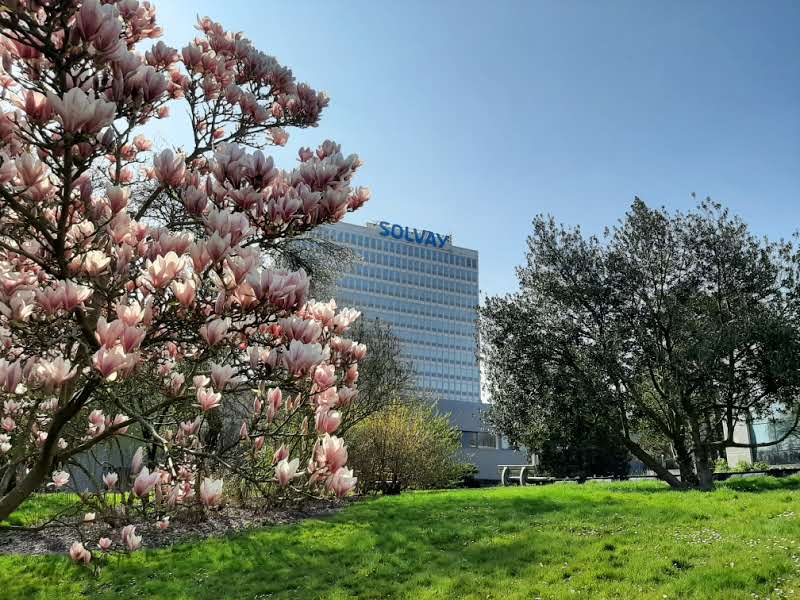 SolvayLife's tweet photo. Bye-bye winter, hello spring🌼! 
What a pleasant walk at Solvay Campus #Brussels 🇧🇪 ! A wide variety of bird species suddenly return, flowers are blooming and green leaves begin to dress the trees. What is it you like about spring? ☀️ https://t.co/tCKapmT2ip