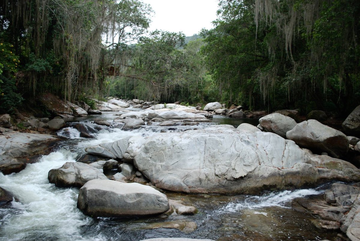 TaironaTrust's tweet photo. #worldwaterday2022 "It is the mountains that make the waters, the rivers and the cloud, if their trees are felled they will not produce any more water" #heartoftheworld 1990 https://t.co/okCqSwOyBa
