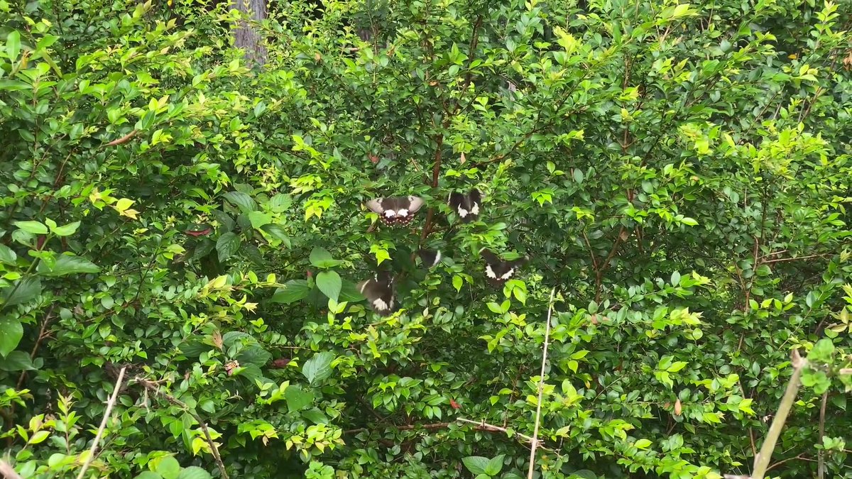 Moumin Lovable (@lovablemoumin) on Twitter photo 