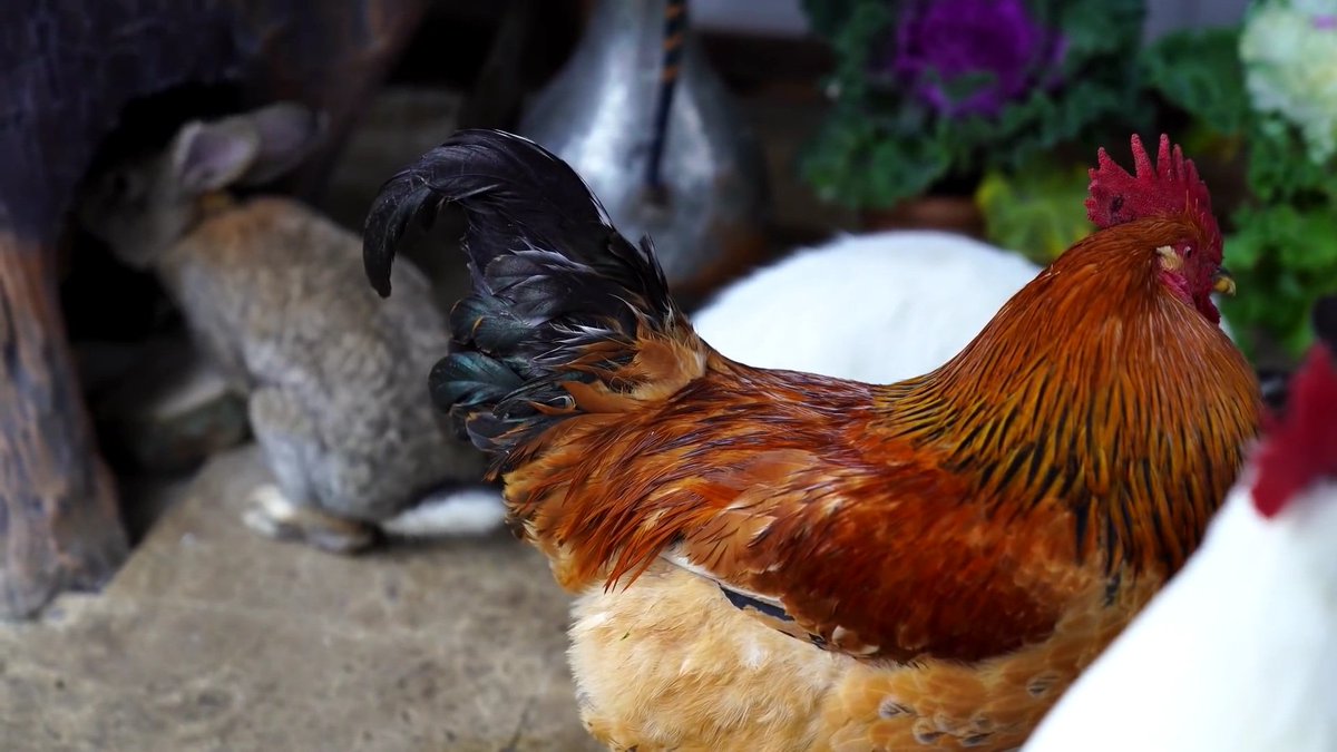 Moumin Lovable (@lovablemoumin) on Twitter photo 