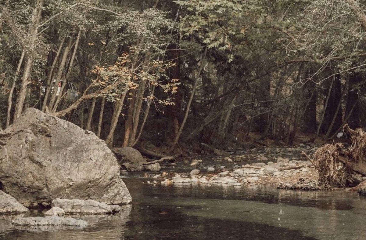 South Shore Apartments tweet media