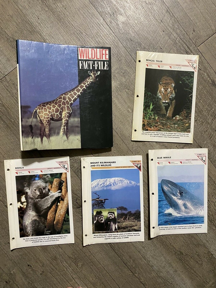 polyrhythmic's tweet image. Who remembers these 🦒