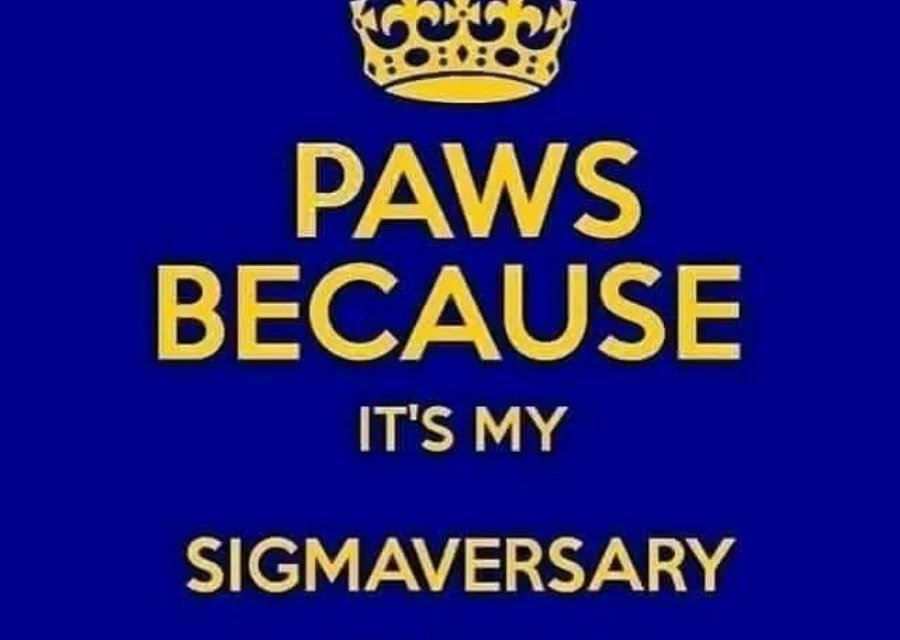 BakeryLaDulce's tweet photo. Today: I celebrate 2 years of becoming a part of a Progressive and Rhoyal Sisterhood!
Happy Sigmaversary "EcΣtatic Force"! #Spr20 #SigmaGammaRho #GreekGamers #Divine9 #RhoadToCentennial https://t.co/6xVn60RhJ4