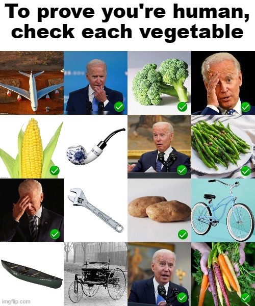 70% of Americans think Biden is a vegetable.