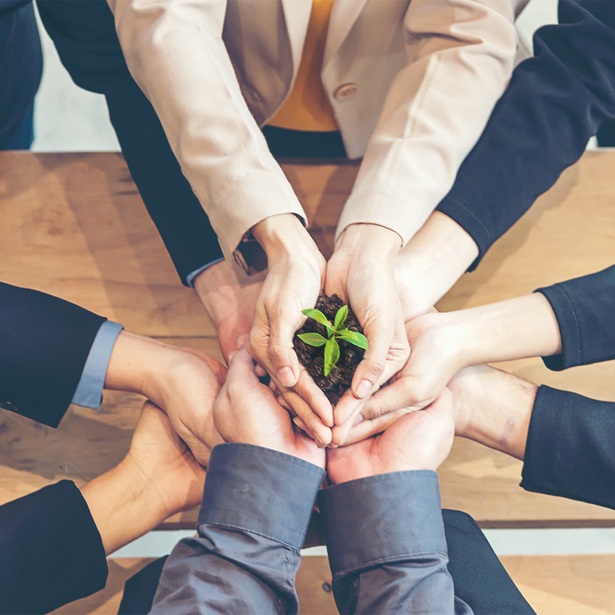 Spring is the time to watch your business grow with our web marketing services!