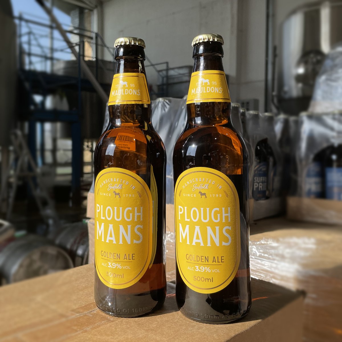 Back in the online shop a drop of sunshine, perfect to slake your thirst after a hard day in the fields.
#cheers #sunshine #goldenale
 🍺 ☀️