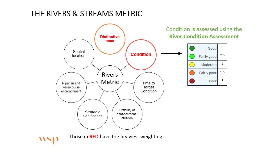 CIEEMnet's tweet photo. Great presentation from @wsp and @JacobsConnects exploring the BNG River & Stream Metric and some case studies from a variety of project types where the metric has been used to show where net gain can be achieved with ease or may be more difficult to achieve #BNGConference https://t.co/54SuGKCHfI