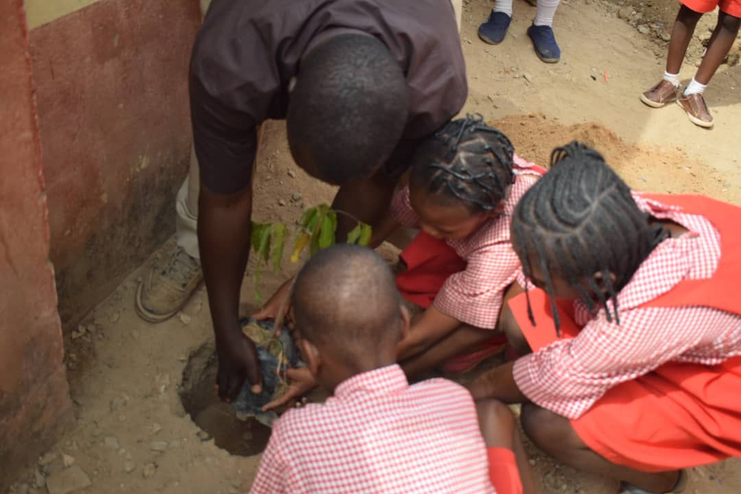 bridge_thatgap's tweet photo. In commemoration of the World forest day,we @bridge_thatgap planted trees @YMCAKaduna.
#Bridgethatgap
#RecuceVulnerability
#WorldForestDay2022 https://t.co/Pin86LzJvw