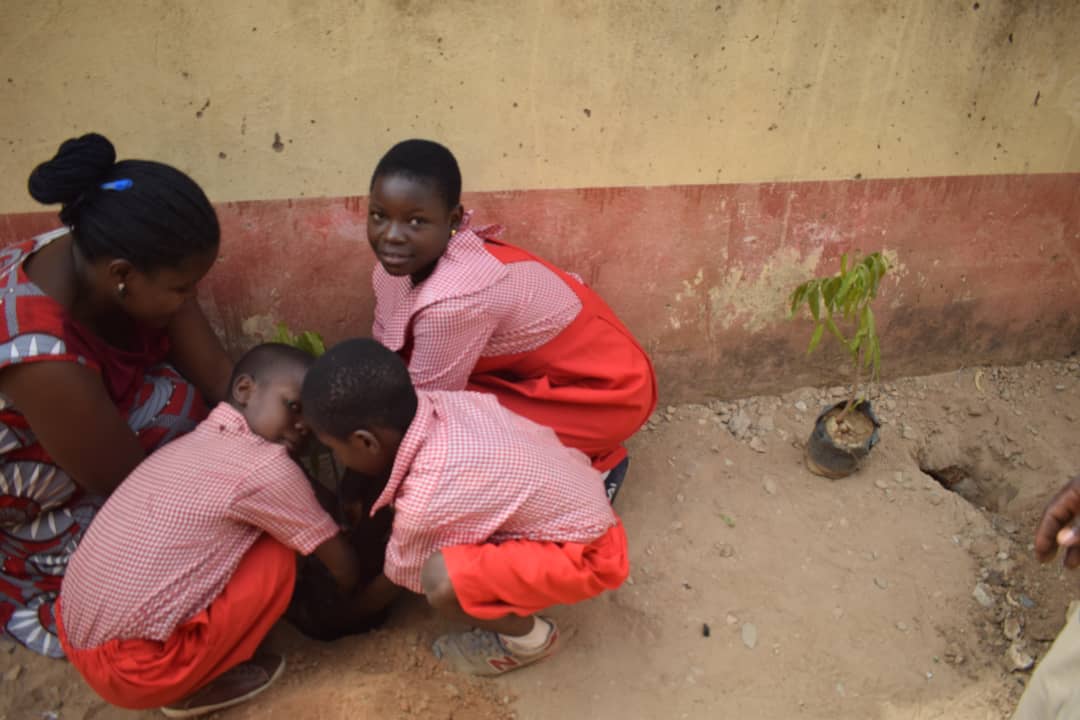 bridge_thatgap's tweet photo. In commemoration of the World forest day,we @bridge_thatgap planted trees @YMCAKaduna.
#Bridgethatgap
#RecuceVulnerability
#WorldForestDay2022 https://t.co/Pin86LzJvw