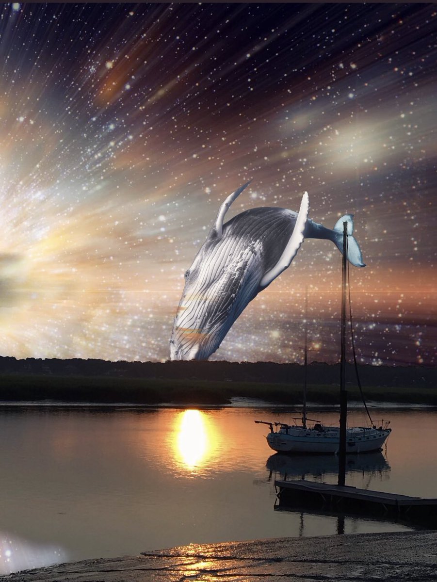 (Cowboy)Torryleepowers ⚡️ tweet media