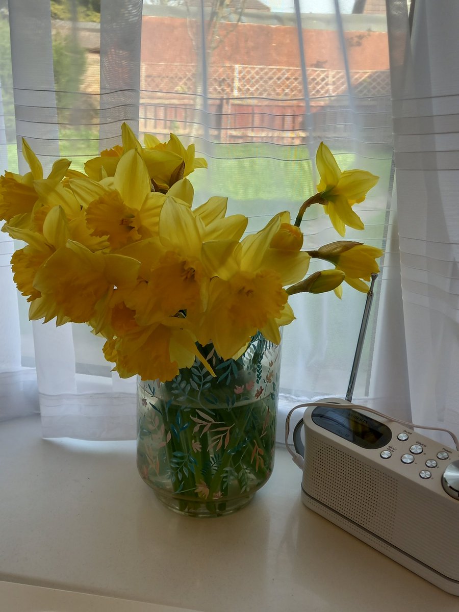Yellow is not my favourite colour...BUT daffodils are a symbol of hope, renewal, brighter days &amp; much more..what is your favourite sign of Spring? #spring2022 #springflowers #homeworking #daffodils #workingfromhome #Coventrybusiness #Warwickshirebusiness