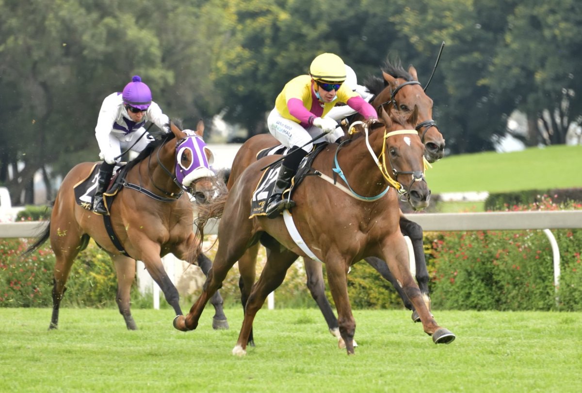 WillowMagic1's tweet photo. Modern Magician wins second time out! After placing on debut, the 3yo gelding is owned and trained by Sean Tarry and bred by Klawervlei Stud.
Willow Magic has three yearlings on offer at the @BloodstockSA1 NYS in April.
@seantarryracing @BushHillStud @KZNBreeders #willowmagic https://t.co/7Wy7UDEdOp