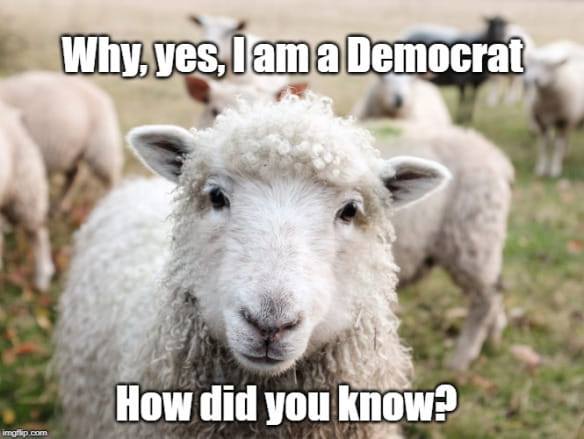 70% of Americans aren’t ignorant sheep...the other 30% still approve of the job Biden is doing.