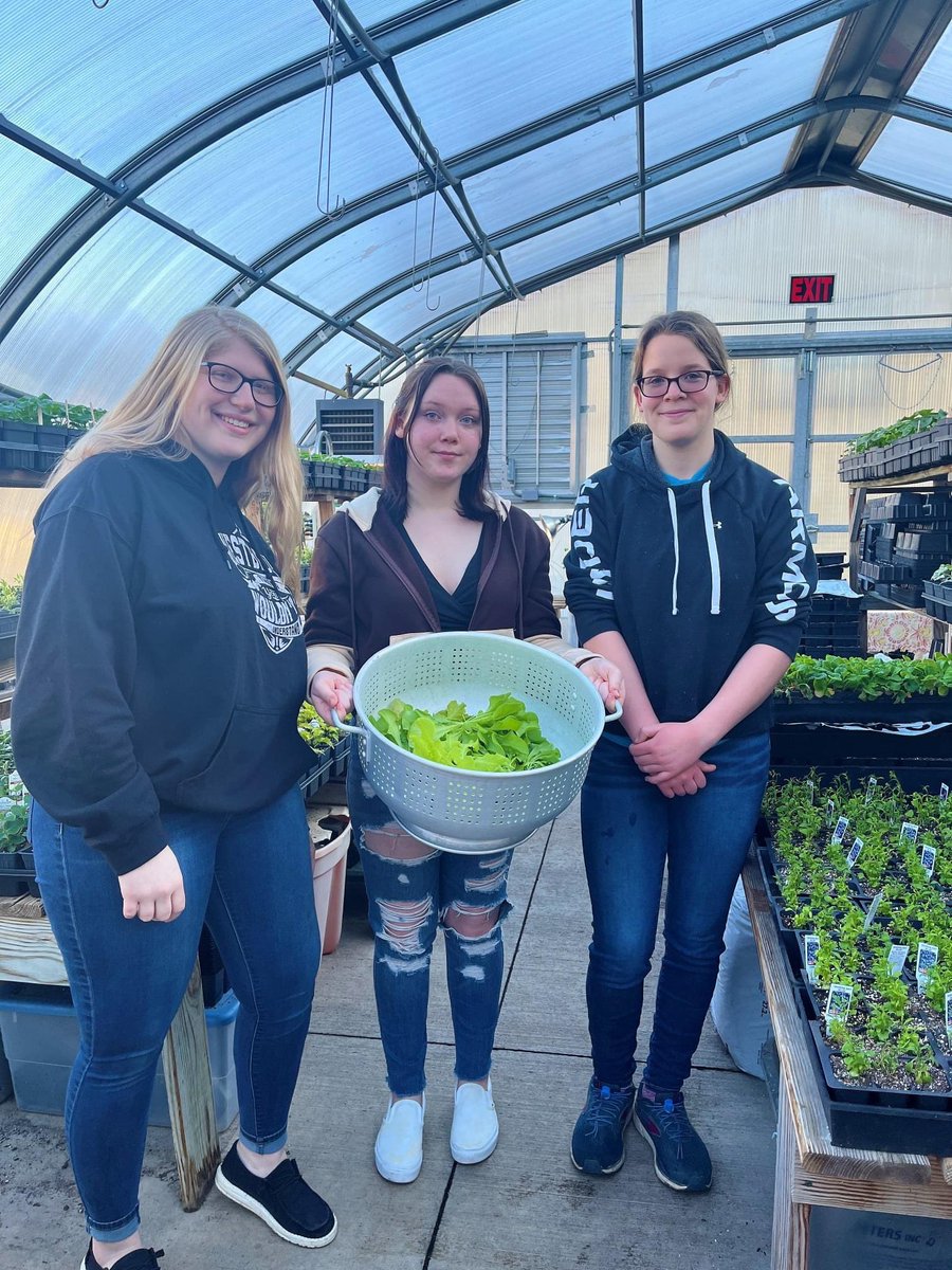 DepositCSDSupt's tweet photo. Hydroponics, aeroponics and aquaponics…our plant science students grew some lettuce which was served to our elementary students today! #farmtoschool #greenhouse @Rock_on_Cafe https://t.co/XgnQgdhXRF