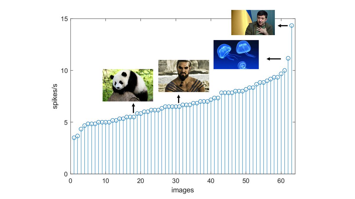 P4Health tweet media