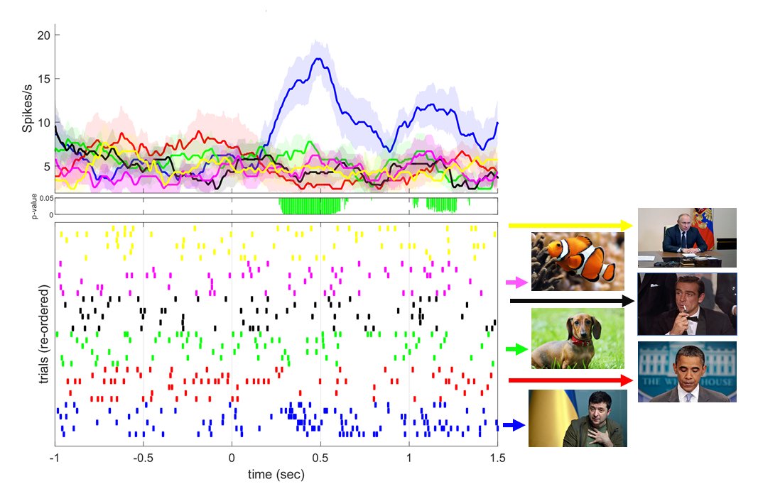 P4Health tweet media