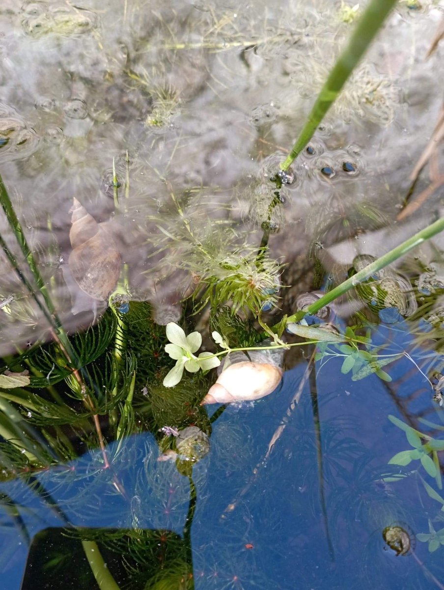 Marc VINCENT tweet media