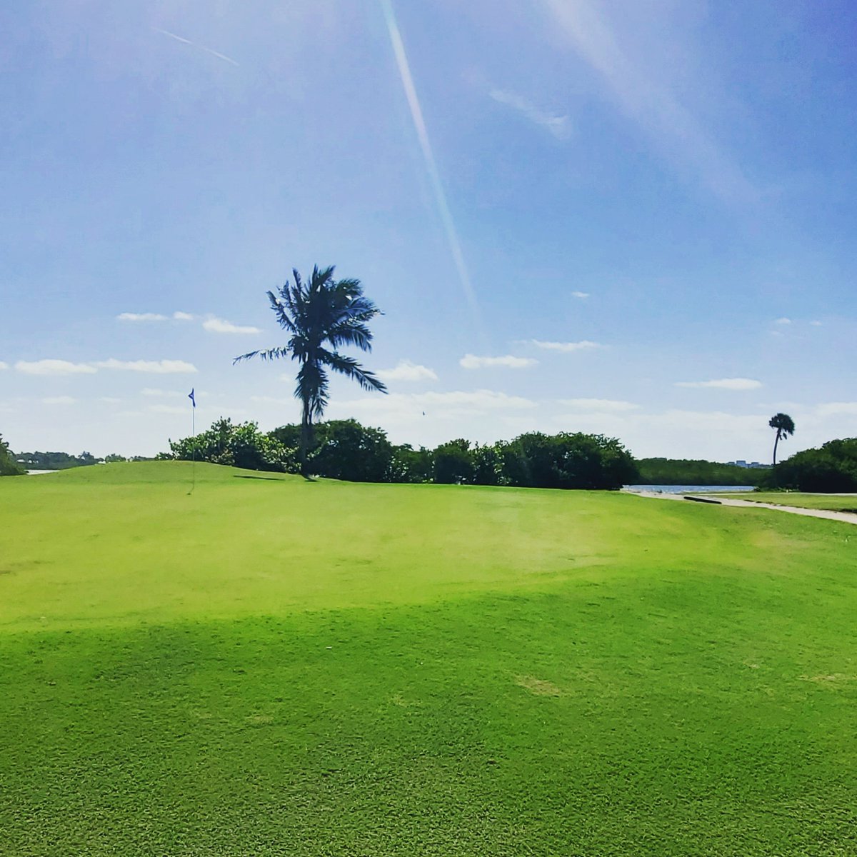 LWBGolfClub's tweet photo. Swing easy when it's breezy 🌴⛳️🌴

It's a beautiful day for a round at the Lake Worth Beach Golf Club. Visit https://t.co/vk45GwgdJY to boom your next tee time. https://t.co/AxzfHzzHhe