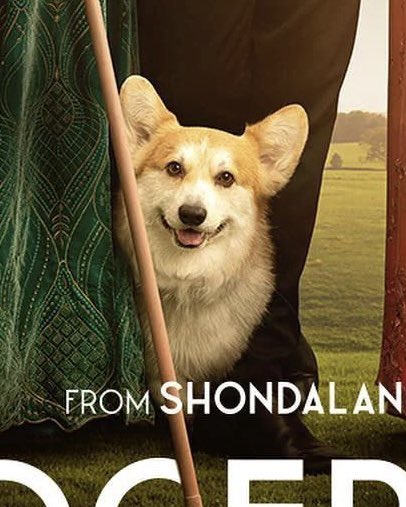 rippingonpod's tweet photo. cannot wait for this little mischievous corgi to be on my tv screen this Friday!! https://t.co/XxEMWtU5of