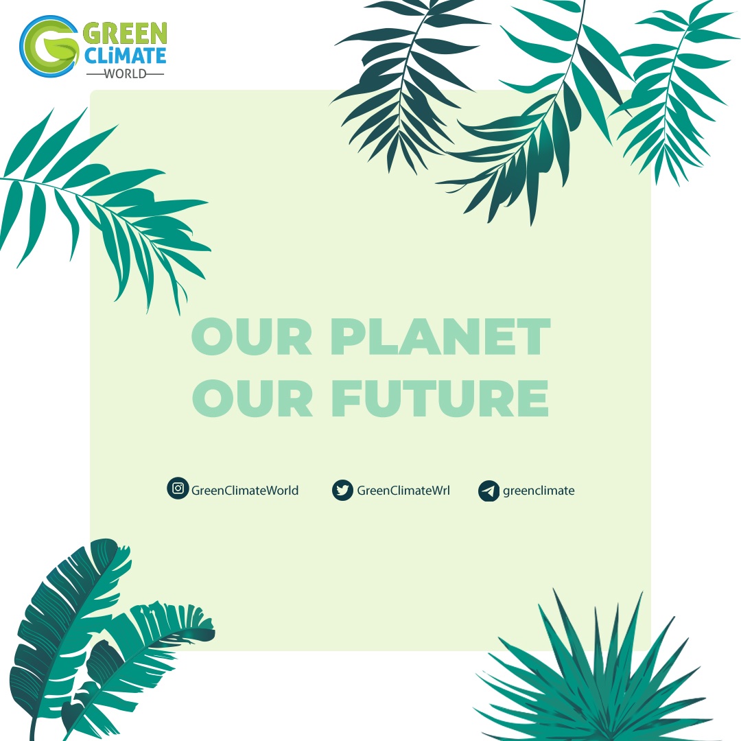 linktr.ee/greenclimate 🌱🌲🌍

#nature #green #climate #world #naturelovers #project #blockchain #cryptocurrency #life #WGC #WGCToken #greenclimateworld #plant #tree