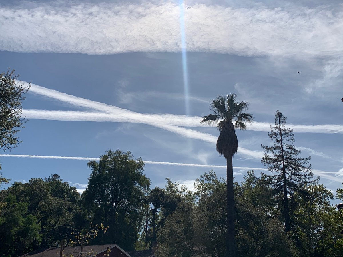 NatashaAustinCA's tweet photo. @SCCgov @NWSBayArea Looking forward to a beautiful spring day in the Bay Area. Can we talk about things that are actually alarming? #TheseAreNotClouds https://t.co/OfrKt3OeRP