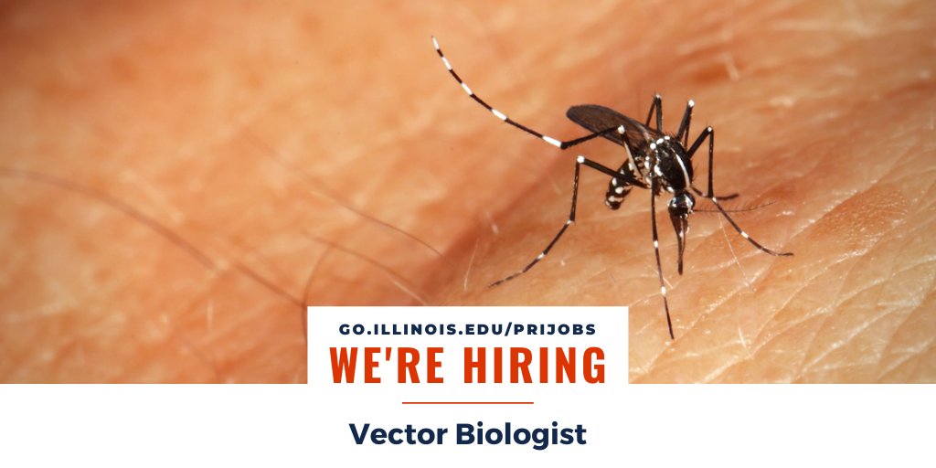 INHSillinois's tweet photo. The #INHS #MedEntLab is #hiring a vector biologist to study the biology & distribution of vectors & vector-borne diseases using lab-based molecular methods & organismal manipulation.
Apply by Apr. 11! ➡️ https://t.co/MrWlRAEvOi
@cmst232 @VectorCollector #mosquitoes #ticks https://t.co/dg05dlt8fK