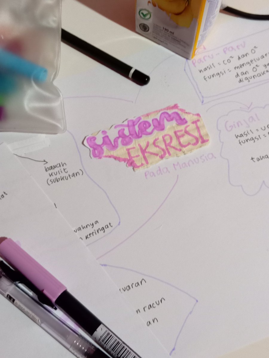 studyjace's tweet image. 🗓️ 22/03/22 ; gak berbakat membuat mind map🥹