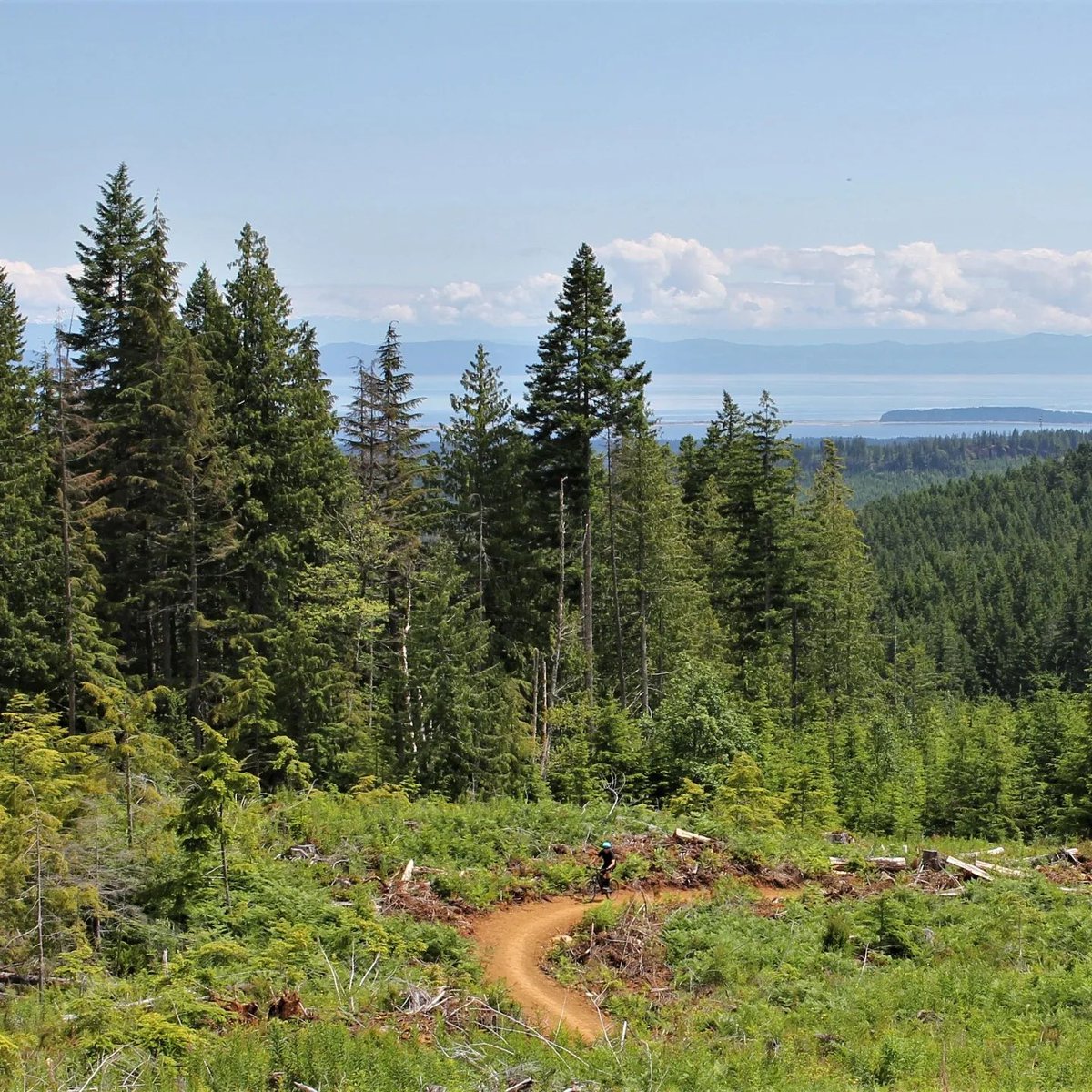 experience_CV's tweet photo. "The Sobo No Michi climbing trail in Cumberland, British Columbia is one of the best mountain bike trails in Canada. If you haven't booked a trip to this beautiful town I highly recommend you do." 

📍 Cumberland
📷 + caption mradventurebc, Instagram
#ExploreComoxValley #mtb https://t.co/OCB5ExWUjG