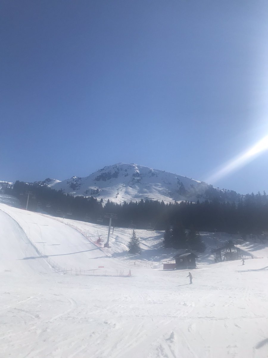 alangibson73ao1's tweet photo. #bluebirdday #lestroisvallees https://t.co/dakszTHnW9