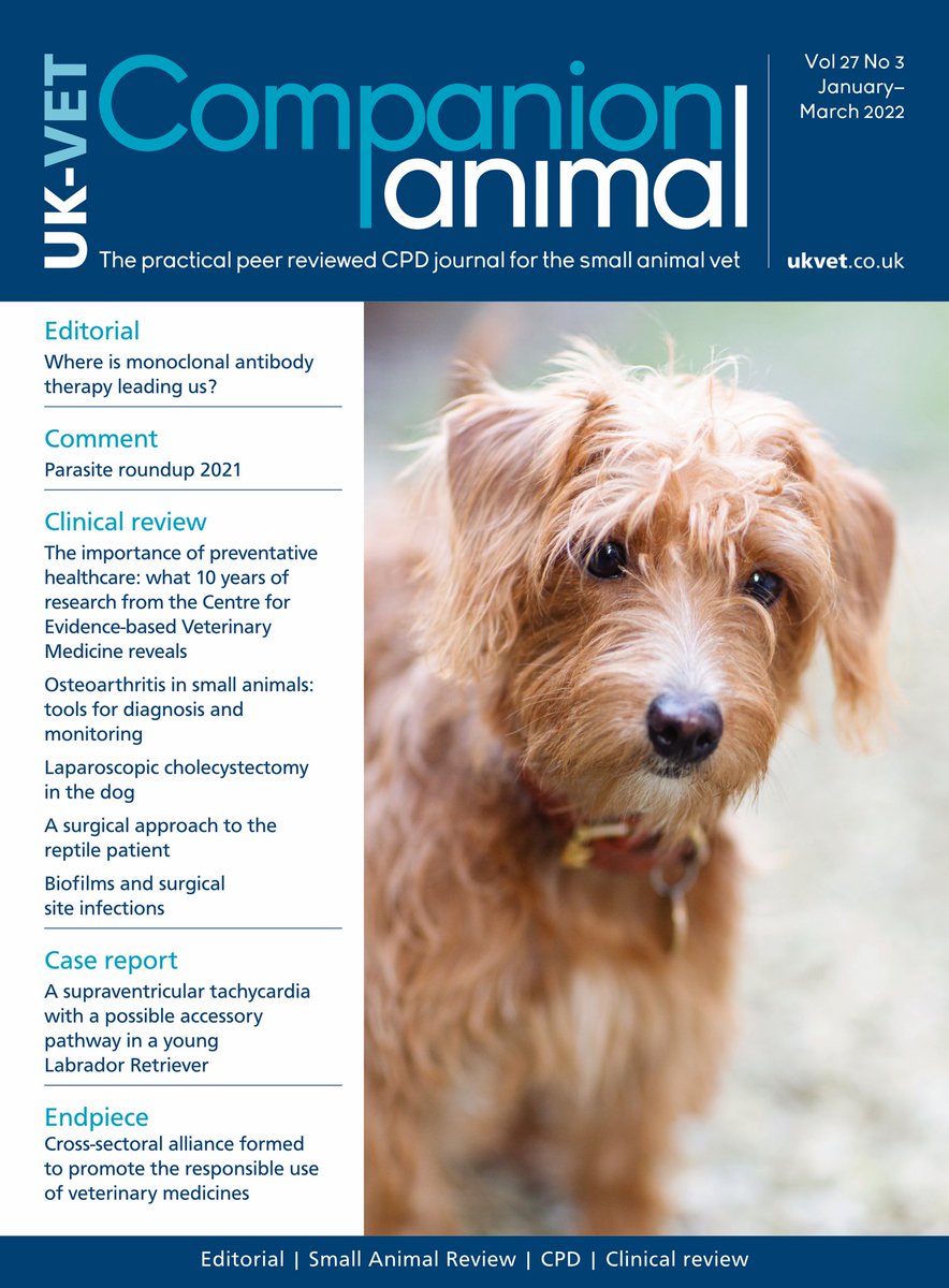 CompanionAni's tweet photo. We look forward to seeing you all soon at #BSAVA Congress 2022. Come and see us at stand F105 to pick up your free copy, featuring the gorgeous Evie as cover star 🐶 https://t.co/BQOeohzsqB