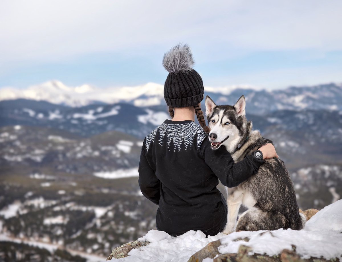 2Husketeers tweet media