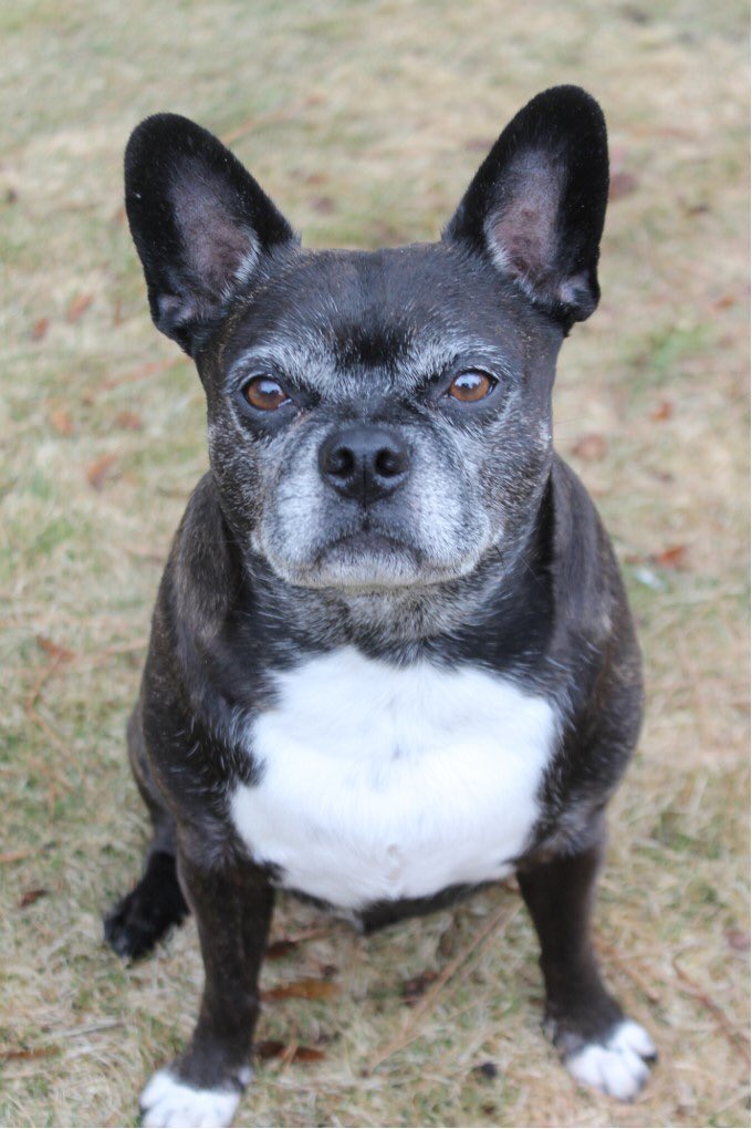 roamwiththem tweet media