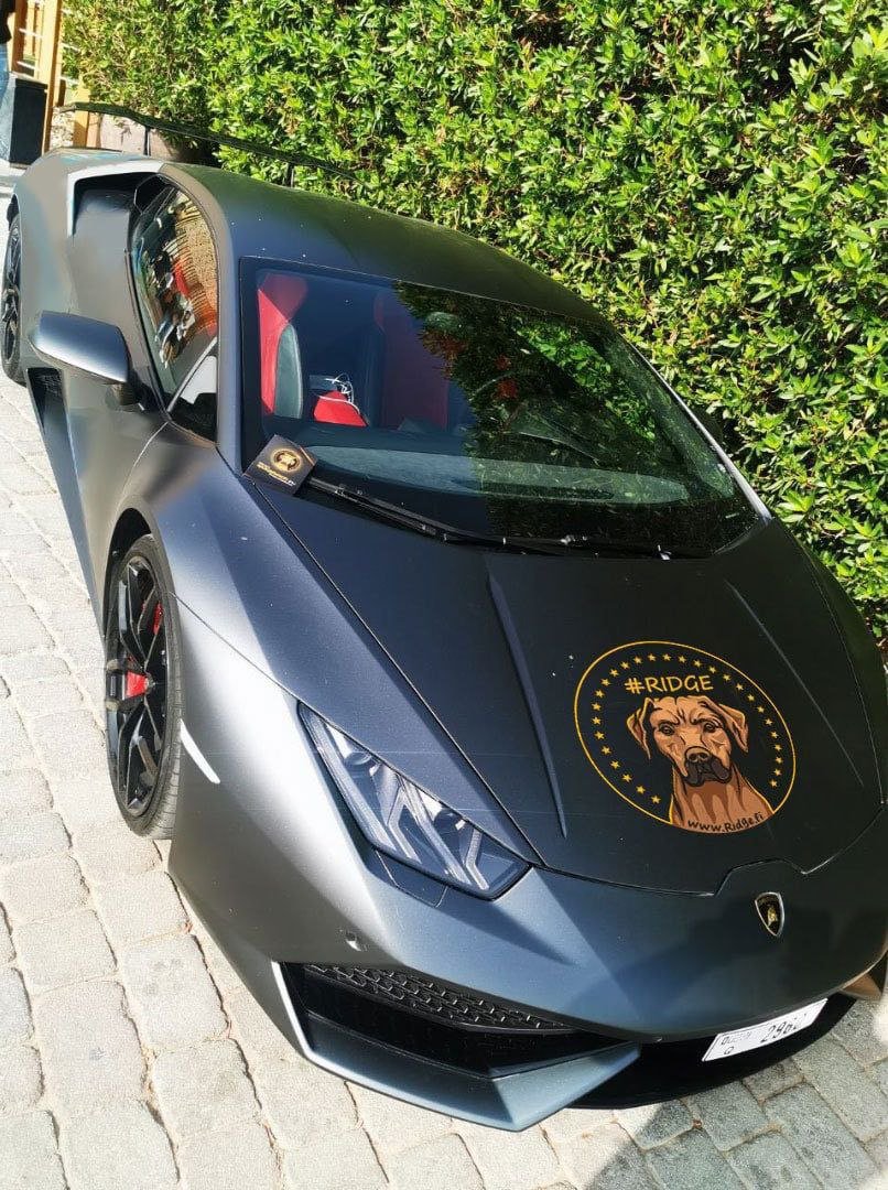 JamesMcDans's tweet photo. It's hard to predict price action to be honest what I can say however that I know will surely happen is that $RIDGE I will be the face of charity soon and when it happens expect this awesome gem to be among the top 100 coins in crypto! 🎯💯 https://t.co/vEXcCx1v4p