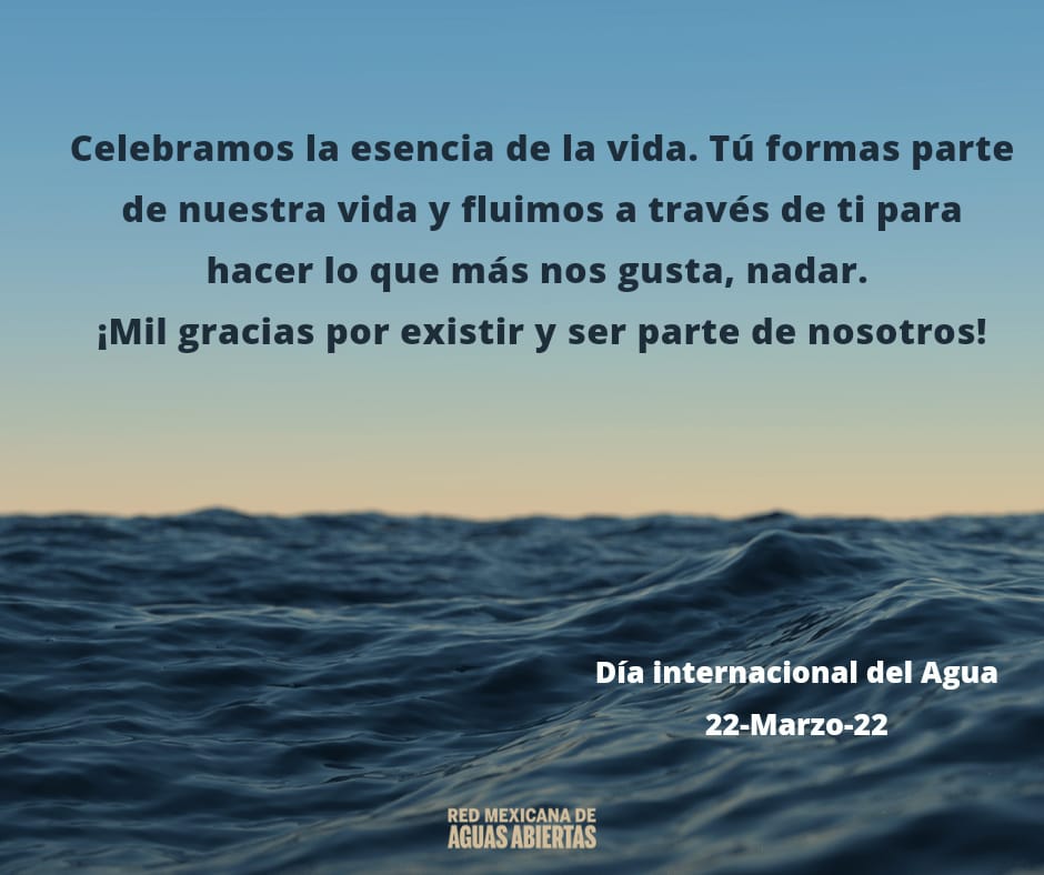 lugalde1802's tweet photo. #redmexicanadeaguasabiertas 💙🌊 https://t.co/Ug5XPAhaCE