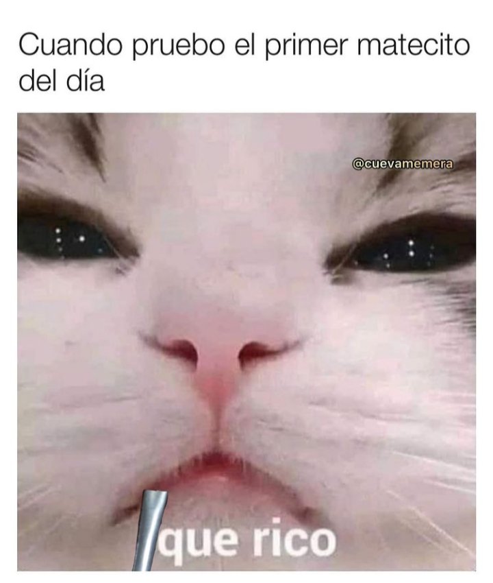 chamaland_'s tweet photo. Yo hoy:
✨🧉 https://t.co/hCCqZCNlHN