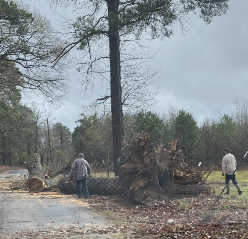 KyleStormChaser's tweet photo. Ore City, Texas this morning. Highway 259 and Camp Joy Road. #orecity #tornado #txwx #etxwx https://t.co/8qaCou449R