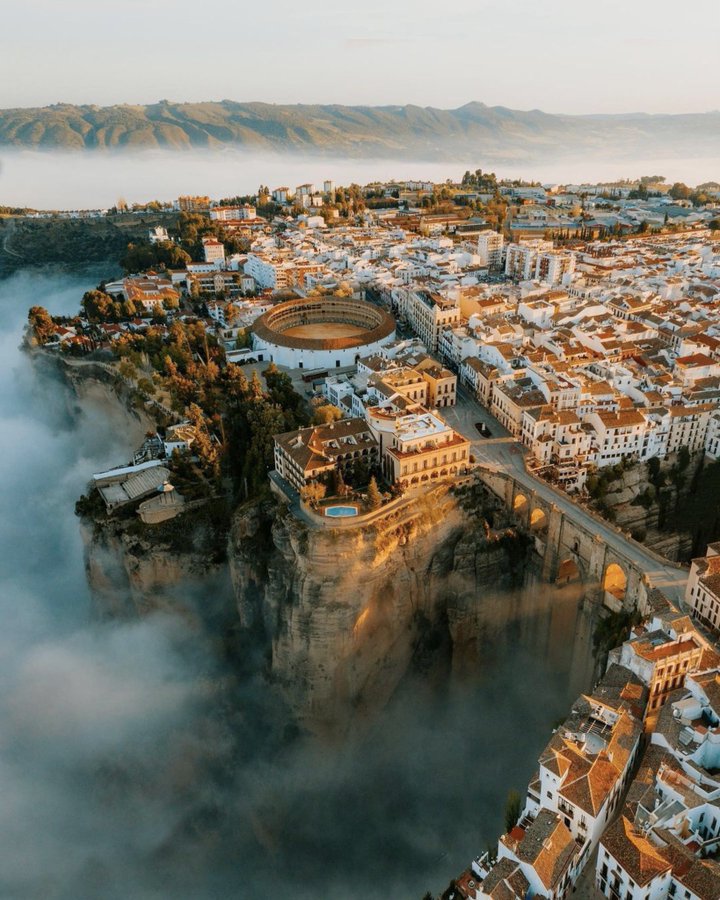 𝚃𝚊𝚛𝚊𝚜 𝙶𝚛𝚎𝚜𝚌𝚘𝚎 🚇 tweet media