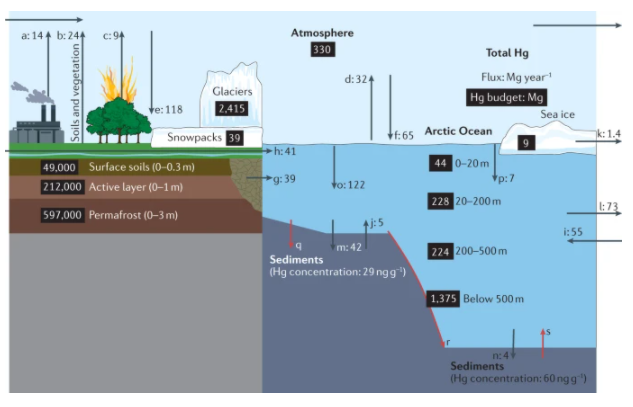 Anthropogenic #mercury (Hg) emissions have driven marked increases in #Arctic Hg levels

In this new Review, Ashu Dastoor et al present a comprehensive assessment of the present-day total Hg mass balance in the Arctic

nature.com/articles/s4301…
Free to read: rdcu.be/cJzeV