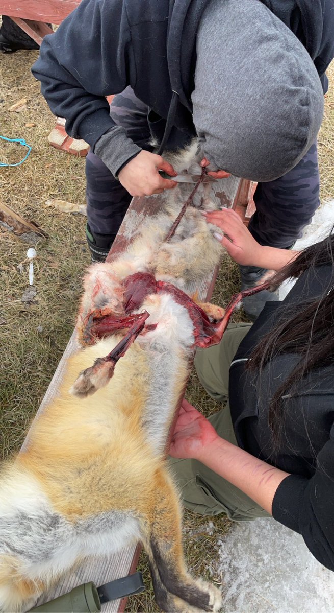 Garrick Schmidt tweet media