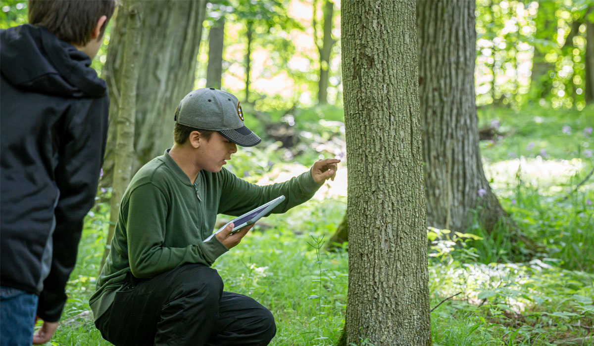 HamConservationFDN tweet media