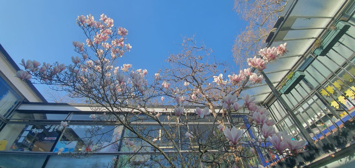 Bousfield_'s tweet photo. Spring is certainly springing here https://t.co/kidIZa15jS
