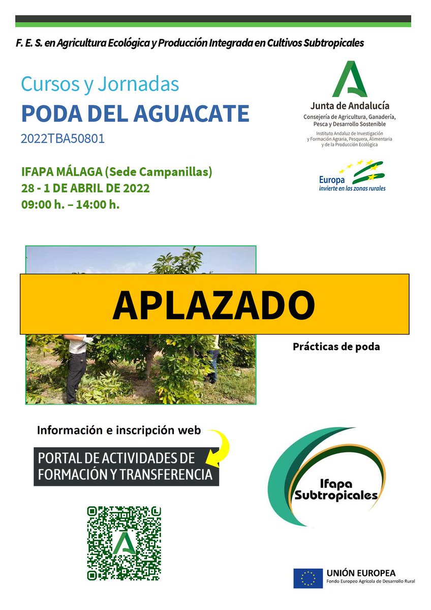 IFAPA Subtropicales tweet media