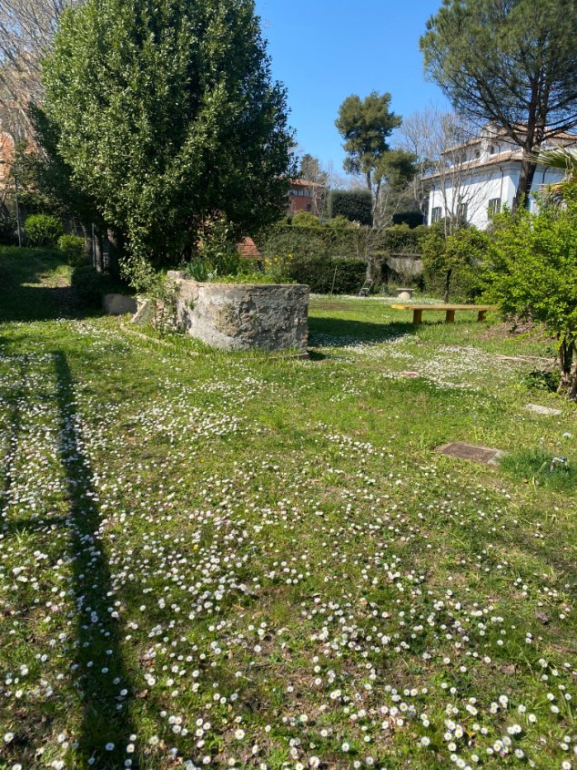 Today, I took my first walk though gardens <a href="/CatholicUniv/">The Catholic University of America</a> Rome campus. Levels of wildflowers (Periwinkle! Hyacinth! Daisies!) and seats to look out in the direction of the Colosseum and Palatine Hill. What a glorious spring day in Rome. I think I've found my new classroom.