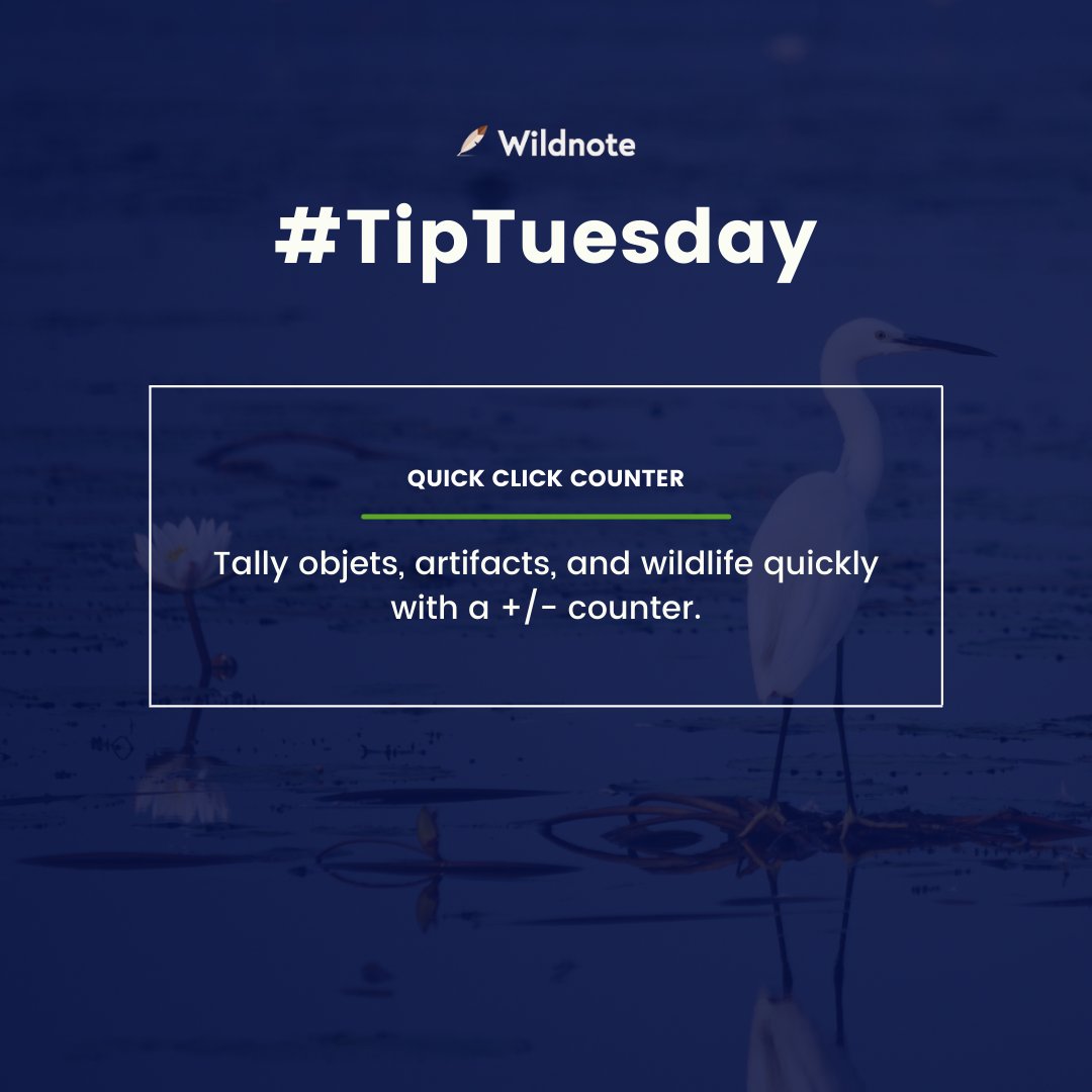 WildnoteApp's tweet image. #GoFastGetItRight with our Quick Click Counter feature while out in the field. Sometimes it’s the little things that matter most! 

What to learn more? Sign up for a one-on-one convo with one of our Wildnote specialists who can help you save time and money on your next project.